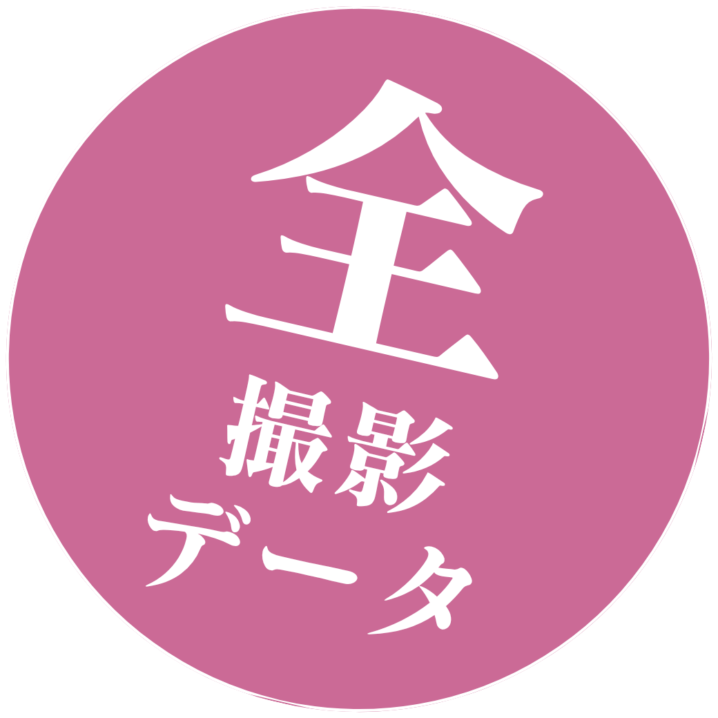 全データ付